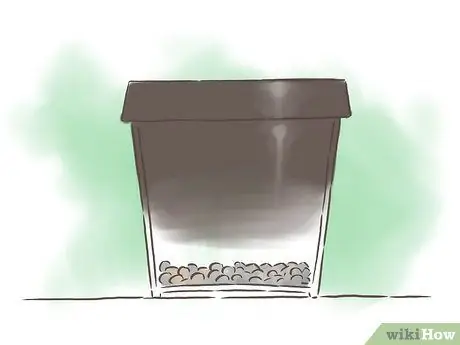 Выращивание фасоли Шаг 9