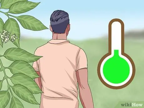 Жить на Аляске Шаг 10