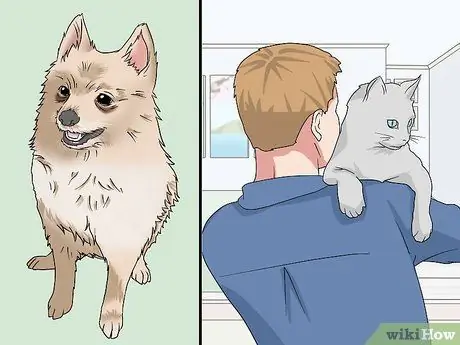 Жить на Аляске Шаг 7