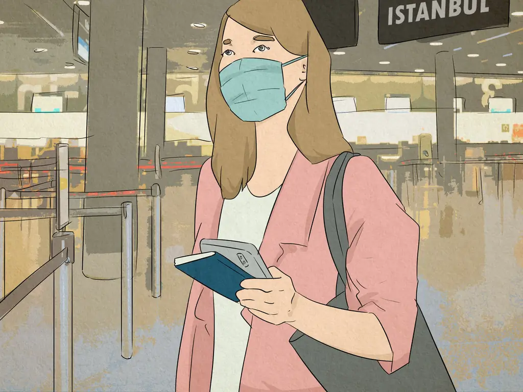 3 простых способа получить визу в Турцию