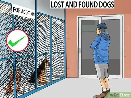 Помогите завершить работу Puppy Mills, шаг 2