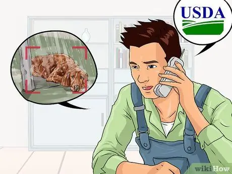 Помогите завершить работу Puppy Mills, шаг 7