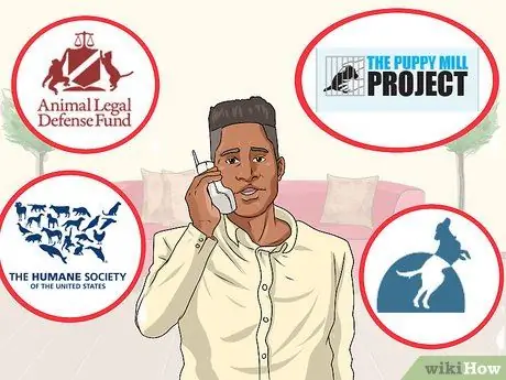 Помогите завершить работу Puppy Mills Шаг 8