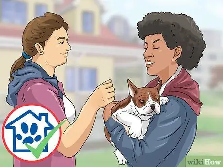 Помогите завершить работу Puppy Mills Шаг 9