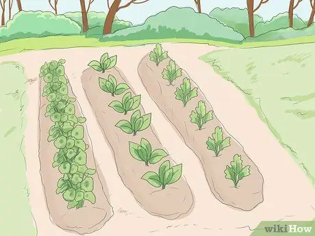 Живи вне земли, шаг 11