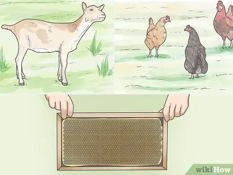 Живи вне земли, шаг 12