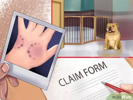 Купить страхование ответственности владельцев собак Шаг 8