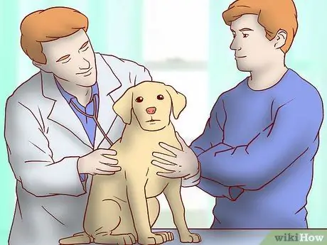 Проверьте отзывы о корме для собак, шаг 9