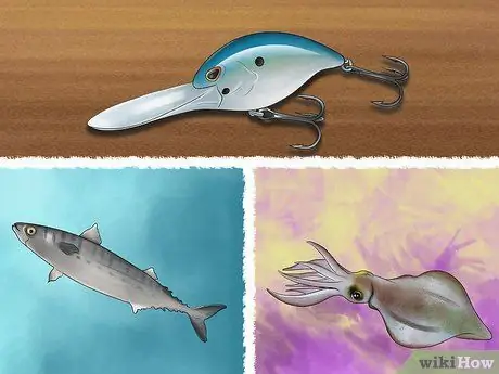 Поймай и выпусти синюю рыбу, шаг 3