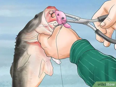 Поймай и выпусти синюю рыбу Шаг 5