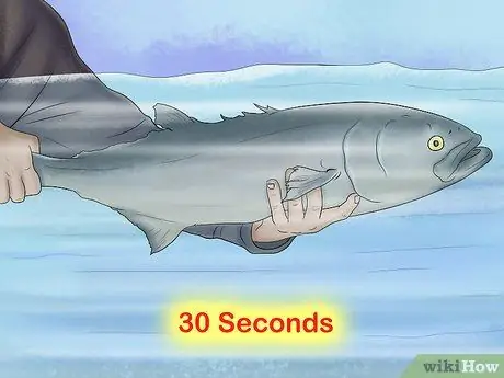 Поймай и выпусти синюю рыбу Шаг 6