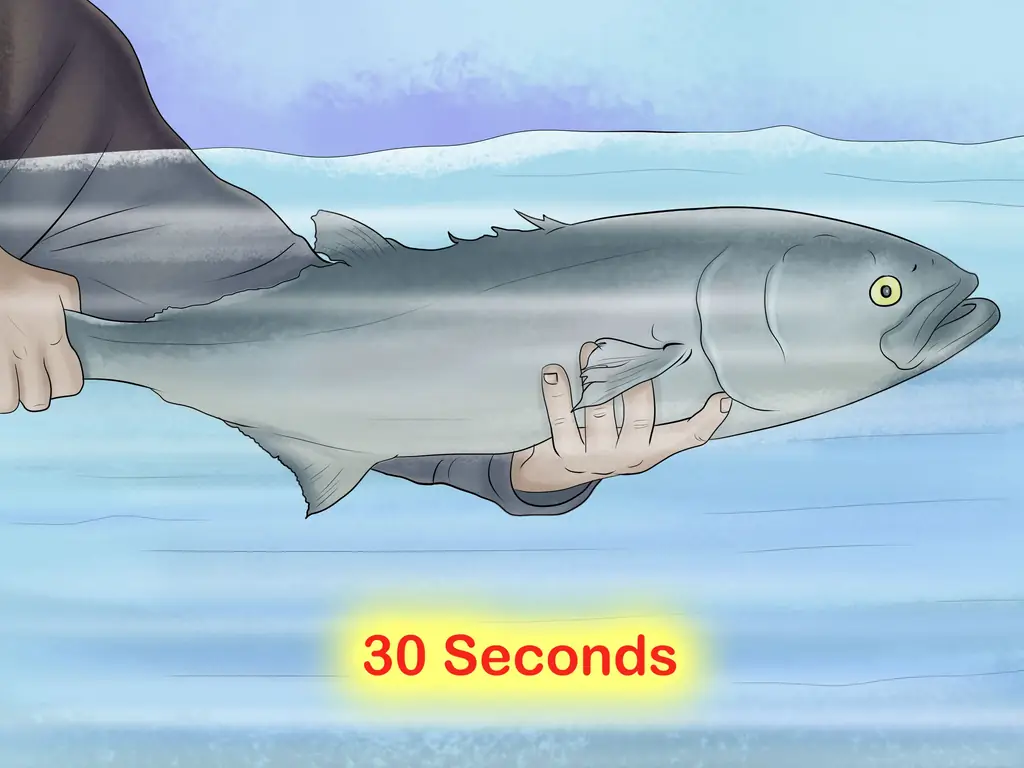 Как поймать и отпустить синюю рыбу: 6 шагов (с иллюстрациями)