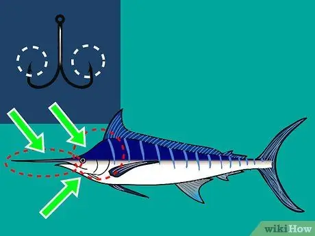 Выберите крючок для морской рыбалки Шаг 11 Пуля 1