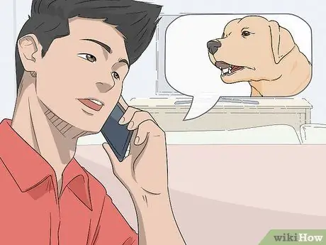 Собаки-подопытные на бешенство Шаг 9