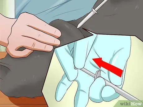 Сделайте кошке укол, шаг 8