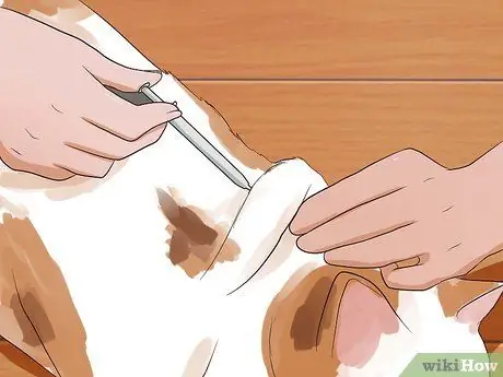 Сделайте кошке укол, шаг 9