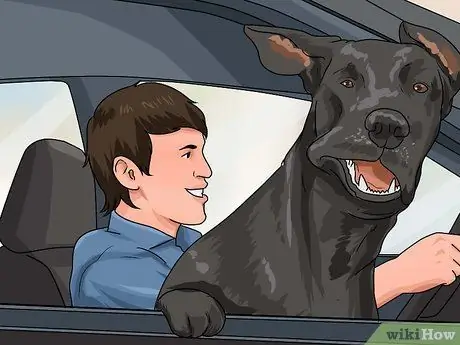 Не давайте собаке скучать Шаг 3