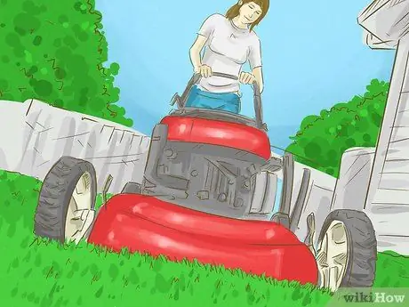 Зарабатывай как девушка-подросток, шаг 8