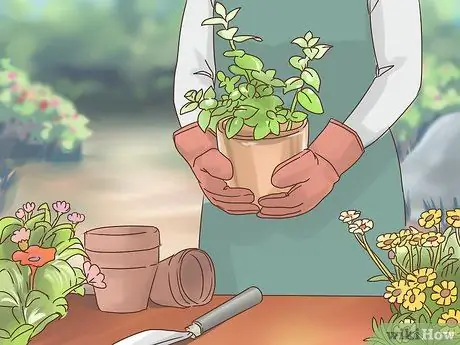 Как стать эмпатом Шаг 1