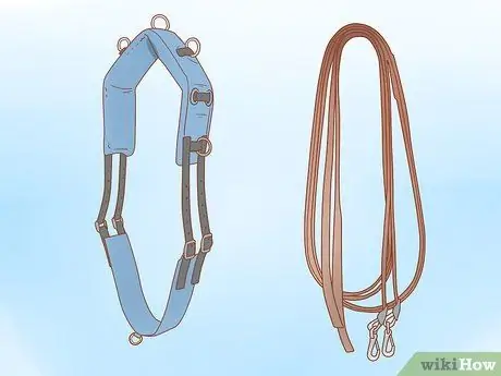 Дрессировка лошади Шаг 1