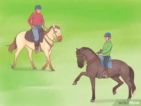 Дрессировка лошади Шаг 10