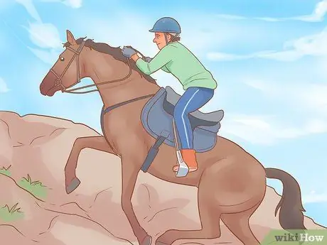 Дрессировка лошади Шаг 12