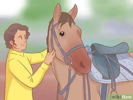 Дрессировка лошади Шаг 14