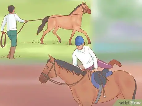 Тренировка лошади Шаг 15