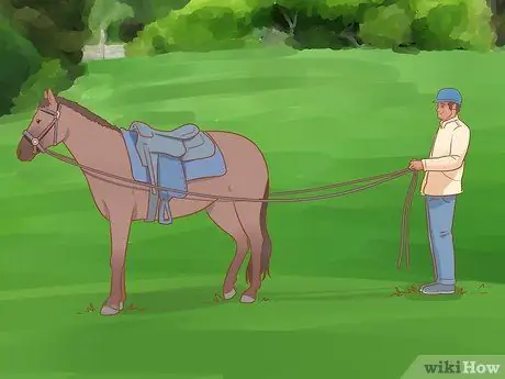 Дрессировка лошади Шаг 3