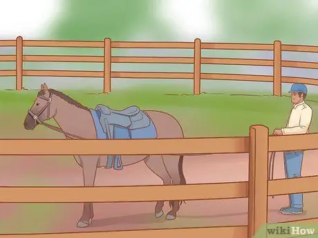 Дрессировка лошади Шаг 5