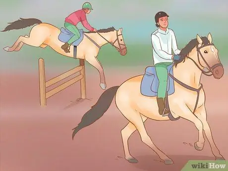 Дрессировка лошади Шаг 8