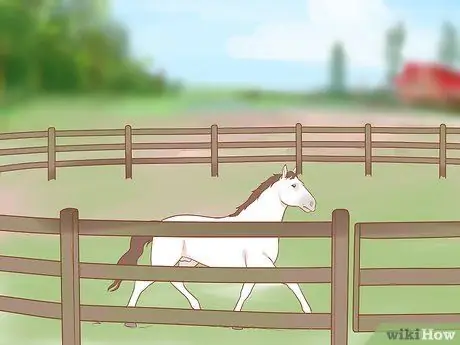 Остановить непослушную лошадь Шаг 1