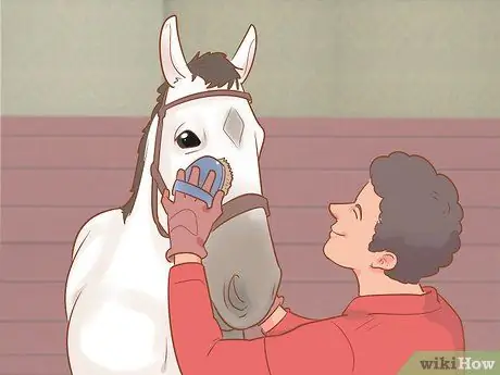 Задевать непослушную лошадь Шаг 10