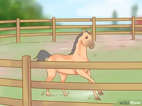 Задевать непослушную лошадь Шаг 11