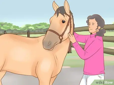 Задевать непослушную лошадь Шаг 12