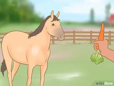 Задевать непослушную лошадь Шаг 13