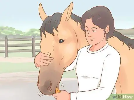 Задевать непослушную лошадь Шаг 14