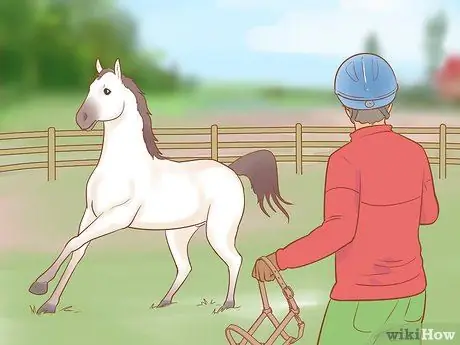 Остановите непослушную лошадь, шаг 2