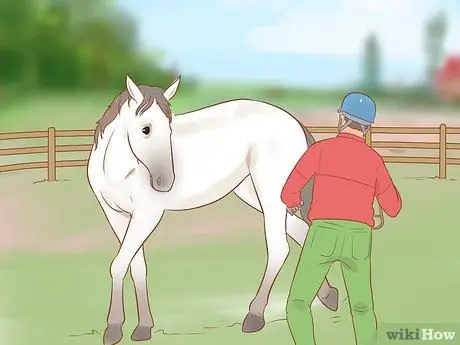 Остановить непослушную лошадь Шаг 4