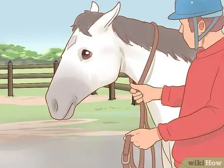Задевать непослушную лошадь Шаг 6