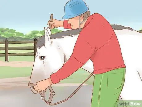 Задевать непослушную лошадь Шаг 7