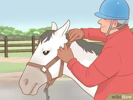 Остановить непослушную лошадь Шаг 8