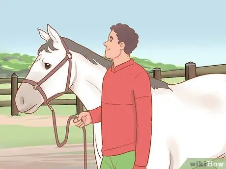 Остановить непослушную лошадь Шаг 9