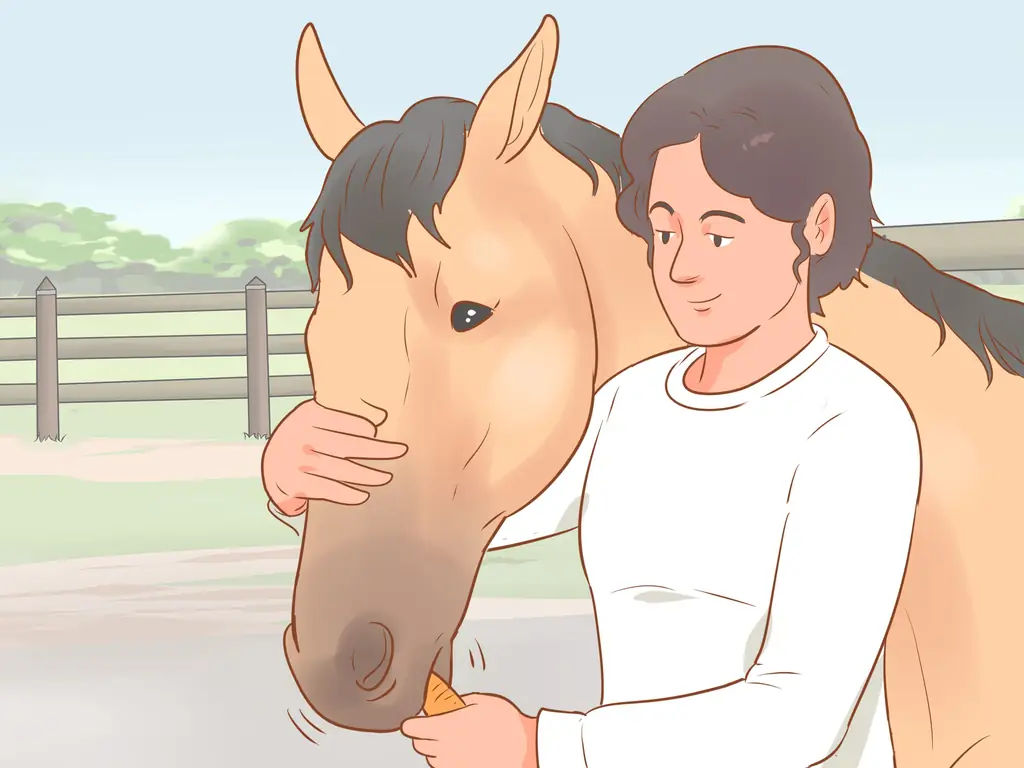 3 способа остановить непослушную лошадь