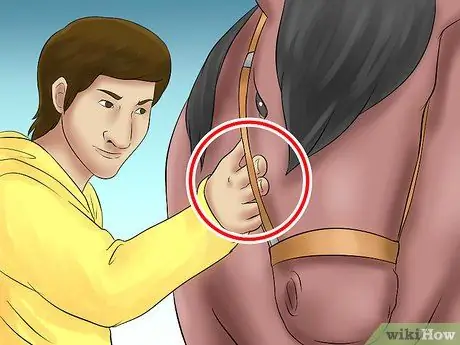 Поймать лошадь Шаг 11