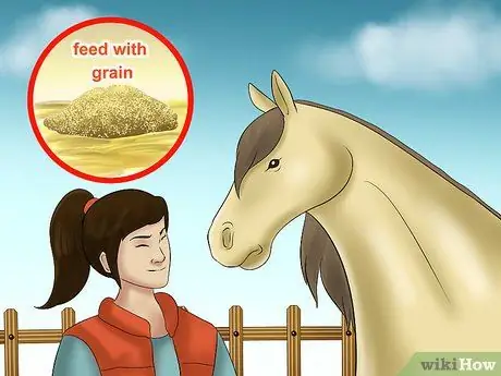 Поймать лошадь Шаг 14