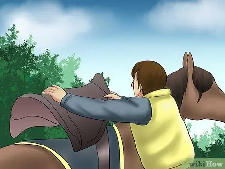 Поймать лошадь Шаг 15