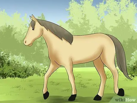 Поймать лошадь Шаг 16