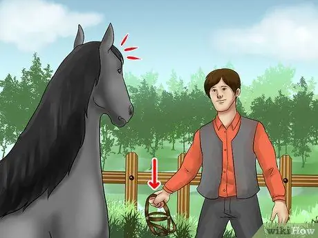 Поймать лошадь Шаг 3