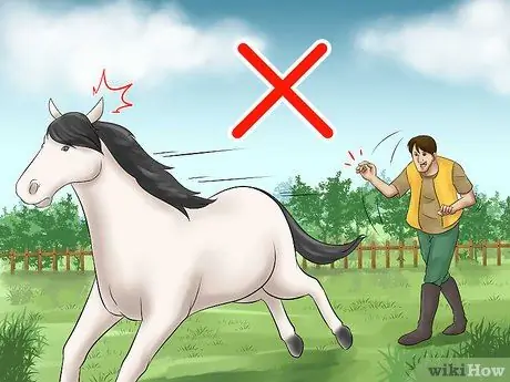 Поймать лошадь Шаг 4